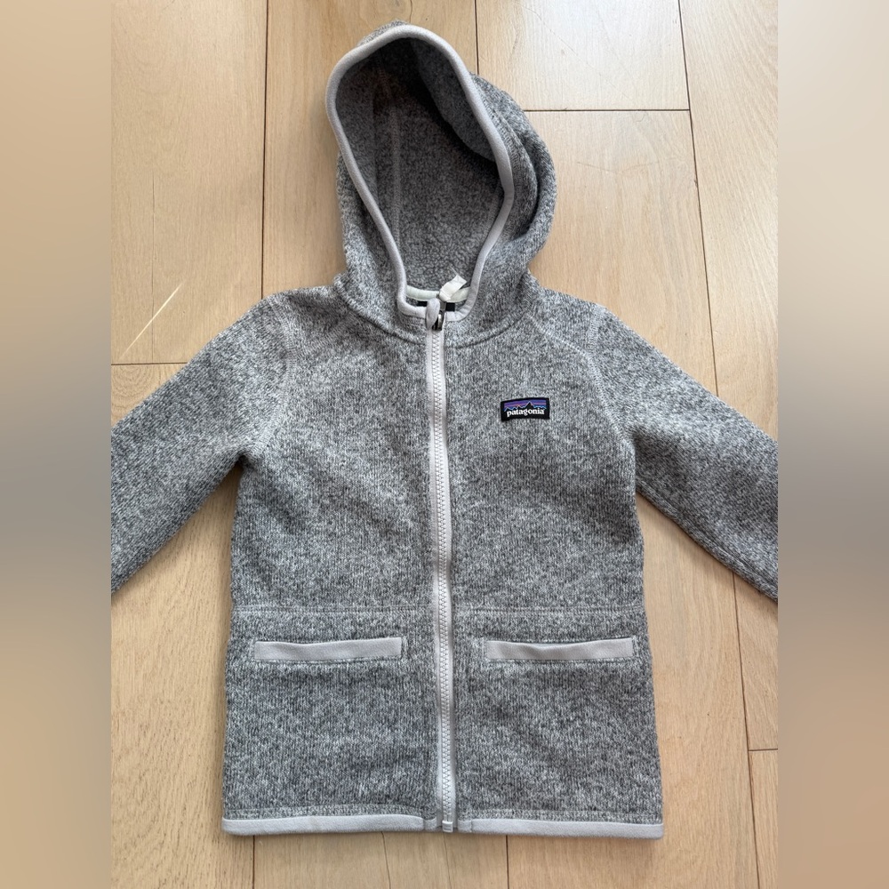 VGUC Patagonia “Better Sweater” fleece hoodie